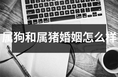 属狗和属猪婚姻怎么样