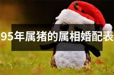 95年属猪的属相婚配表