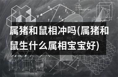 属猪和鼠相冲吗(属猪和鼠生什么属相宝宝好)