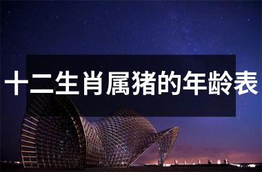 十二生肖属猪的年龄表
