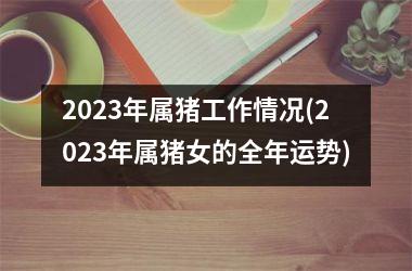 2025年属猪工作情况(2025年属猪女的全年运势)