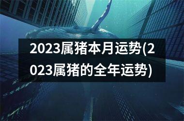2025属猪本月运势(2025属猪的全年运势)