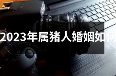 2025年属猪人婚姻如何