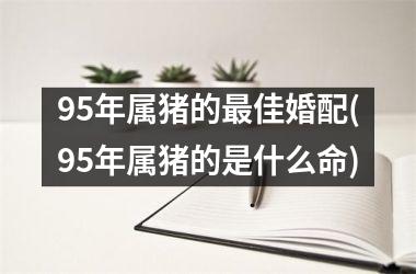 95年属猪的最佳婚配(95年属猪的是什么命)
