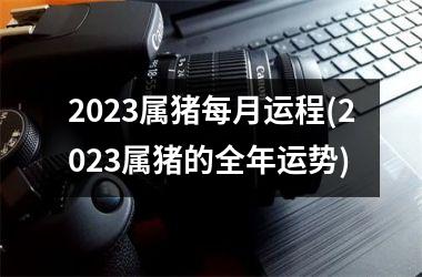 2025属猪每月运程(2025属猪的全年运势)