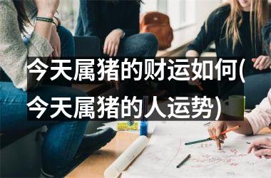 今天属猪的财运如何(今天属猪的人运势)