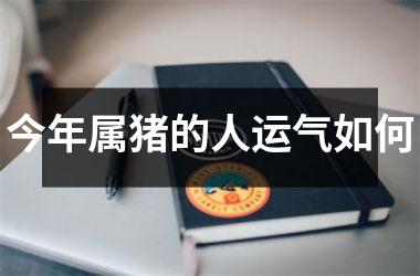 今年属猪的人运气如何