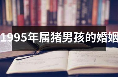 1995年属猪男孩的婚姻
