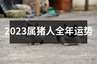 2025属猪人全年运势