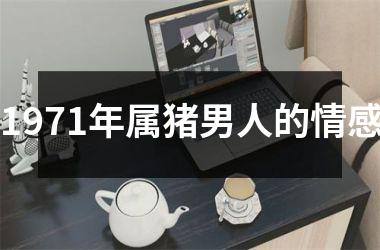 1971年属猪男人的情感