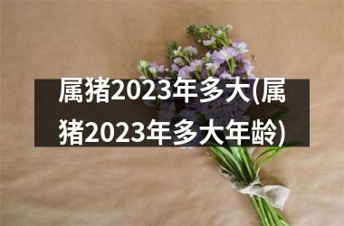 属猪2025年多大(属猪2025年多大年龄)