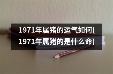 1971年属猪的运气如何(1971年属猪的是什么命)