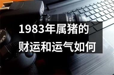 <h3>1983年属猪的财运和运气如何