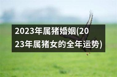 2025年属猪婚姻(2025年属猪女的全年运势)