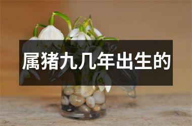 属猪九几年出生的