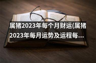 <h3>属猪2025年每个月财运(属猪2025年每月运势及运程每月运程)