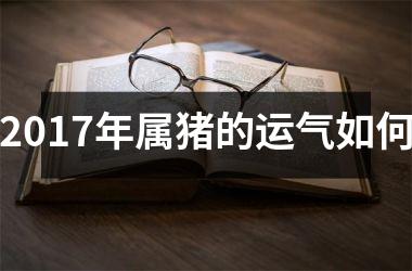 2017年属猪的运气如何