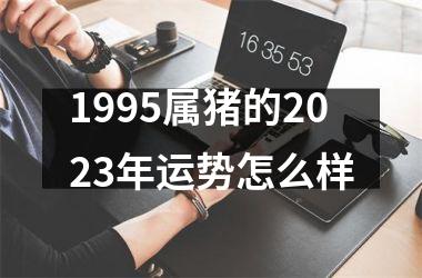 <h3>1995属猪的2025年运势怎么样