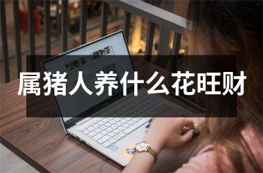 属猪人养什么花旺财