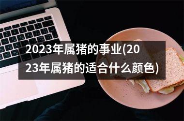 2025年属猪的事业(2025年属猪的适合什么颜色)