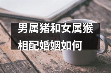男属猪和女属猴相配婚姻如何