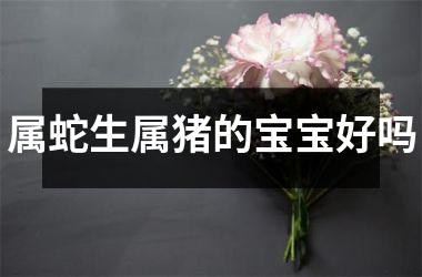 属蛇生属猪的宝宝好吗