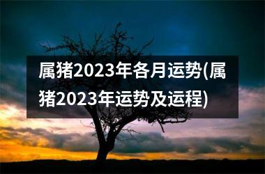 属猪2025年各月运势(属猪2025年运势及运程)