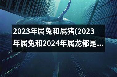 2025年属兔和属猪(2025年属兔和2024年属龙都是木命吗)