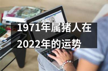 1971年属猪人在2025年的运势