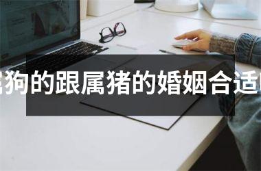 属狗的跟属猪的婚姻合适吗