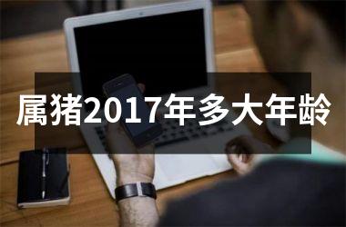 属猪2017年多大年龄