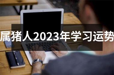 属猪人2025年学习运势