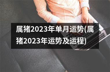 属猪2023年单月运势(属猪2023年运势及运程)