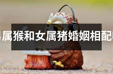 男属猴和女属猪婚姻相配吗