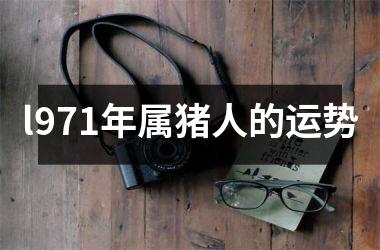 l971年属猪人的运势