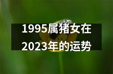 1995属猪女在2025年的运势