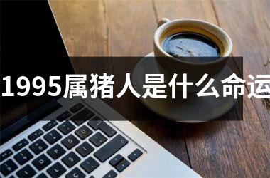 1995属猪人是什么命运