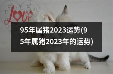 95年属猪2023运势(95年属猪2023年的运势)