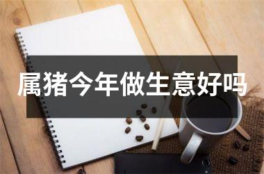 属猪今年做生意好吗