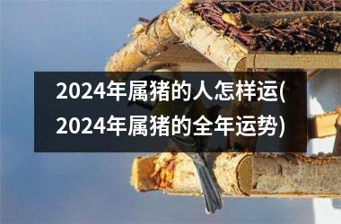 2024年属猪的人怎样运(2024年属猪的全年运势)