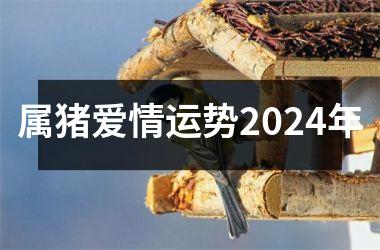 属猪爱情运势2024年