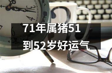 71年属猪51到52岁好运气