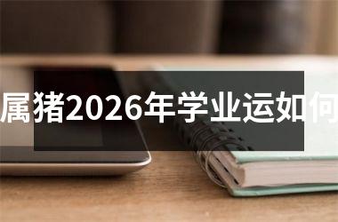 属猪2026年学业运如何