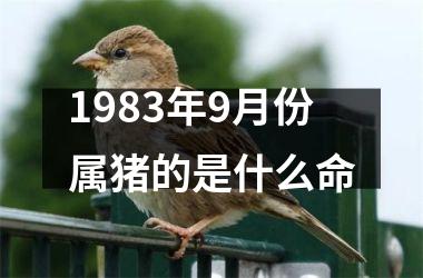 1983年9月份属猪的是什么命
