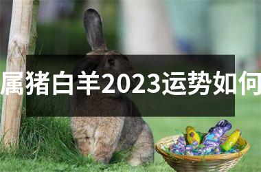 属猪白羊2025运势如何