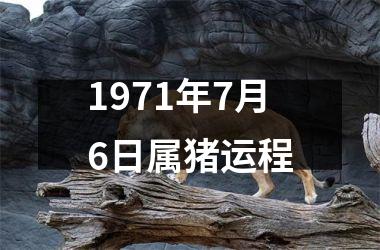 1971年7月6日属猪运程