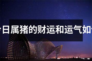 今日属猪的财运和运气如何
