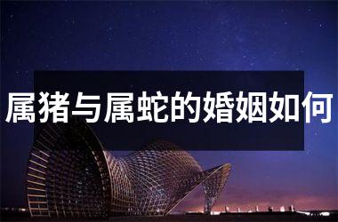 属猪与属蛇的婚姻如何