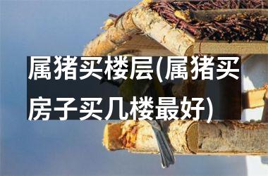 属猪买楼层(属猪买房子买几楼最好)