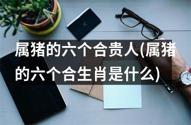 属猪的六个合贵人(属猪的六个合生肖是什么)